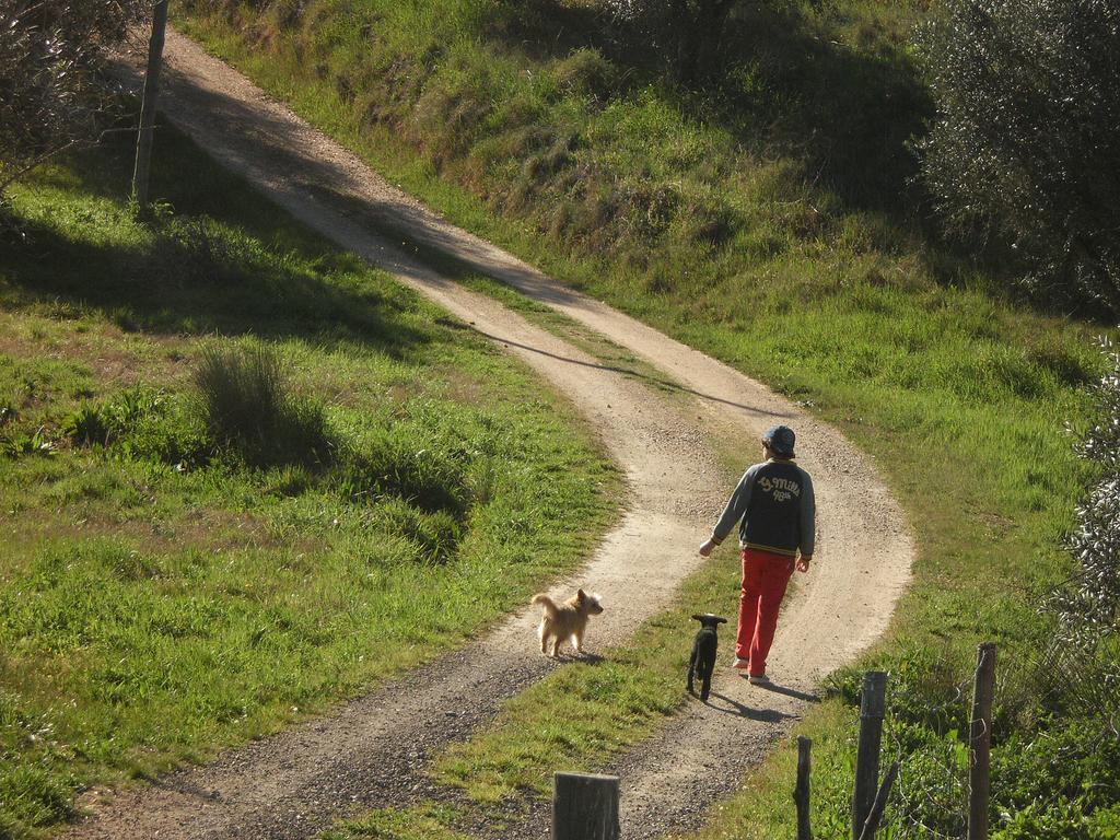 Monte Da Courela Hotel Malarranha Zewnętrze zdjęcie